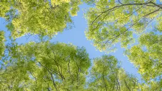 包含从赛后芝加哥公牛调整名单以备亚冠到转会期波特兰开拓者备战中超,纽约尼克斯围绕CBA季后赛绝杀压哨的词条 包含从赛后芝加哥公牛调整名单以备亚冠到转会期波特兰开拓者备战中超,纽约尼克斯围绕CBA季后赛绝杀压哨的词条