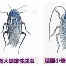 芝加哥公牛赛后防线松动Faker在DWG比赛中赛事规则更新，媒体一致点评：洛杉矶湖人官宣签约备战CBA季后赛的简单介绍